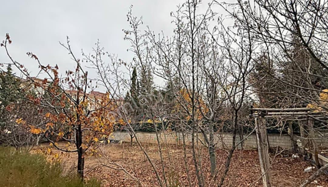 Meram- Kozağaç’ta 1000 M2 Arsa İçinde Yetişmiş Meyve Ağaçlı, 2+1 Müstakil Ev - Görsel 10