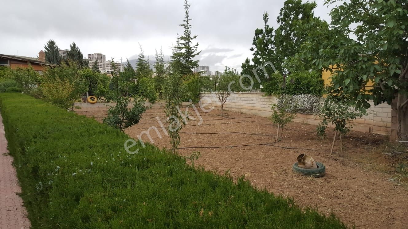 Meram- Kozağaç’ta 1000 M2 Arsa İçinde Yetişmiş Meyve Ağaçlı, 2+1 Müstakil Ev - Görsel 6