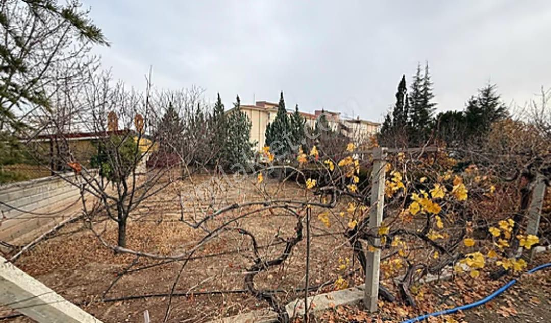 Meram- Kozağaç’ta 1000 M2 Arsa İçinde Yetişmiş Meyve Ağaçlı, 2+1 Müstakil Ev - Görsel 12