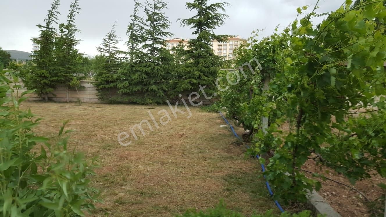 Meram- Kozağaç’ta 1000 M2 Arsa İçinde Yetişmiş Meyve Ağaçlı, 2+1 Müstakil Ev - Görsel 14