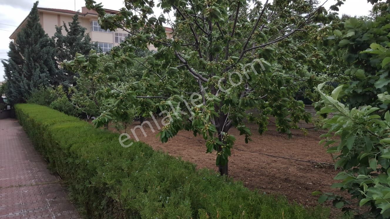 Meram- Kozağaç’ta 1000 M2 Arsa İçinde Yetişmiş Meyve Ağaçlı, 2+1 Müstakil Ev - Görsel 5