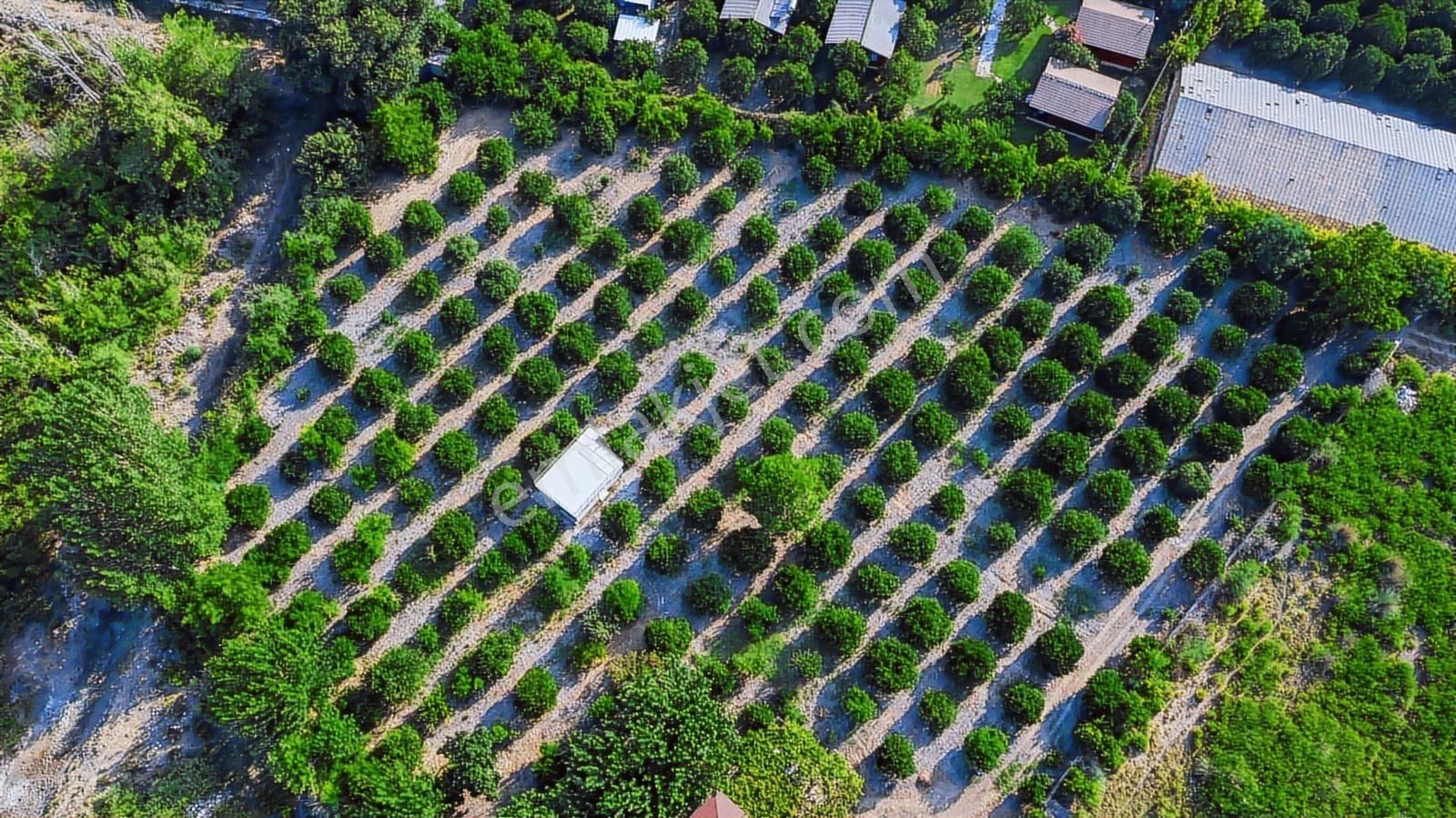 Çağrı Emlak'tan Kemer Çıralı'da Satılık Arsa - Görsel 24