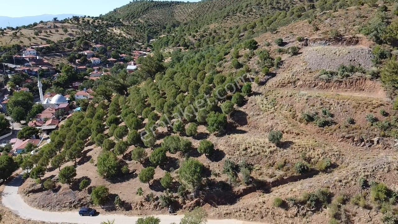 🟥 Aktiften Kırtıkta Hem Yaşam Alanız Hemde Yatırım İçin Satılık Arsa - Görsel 3