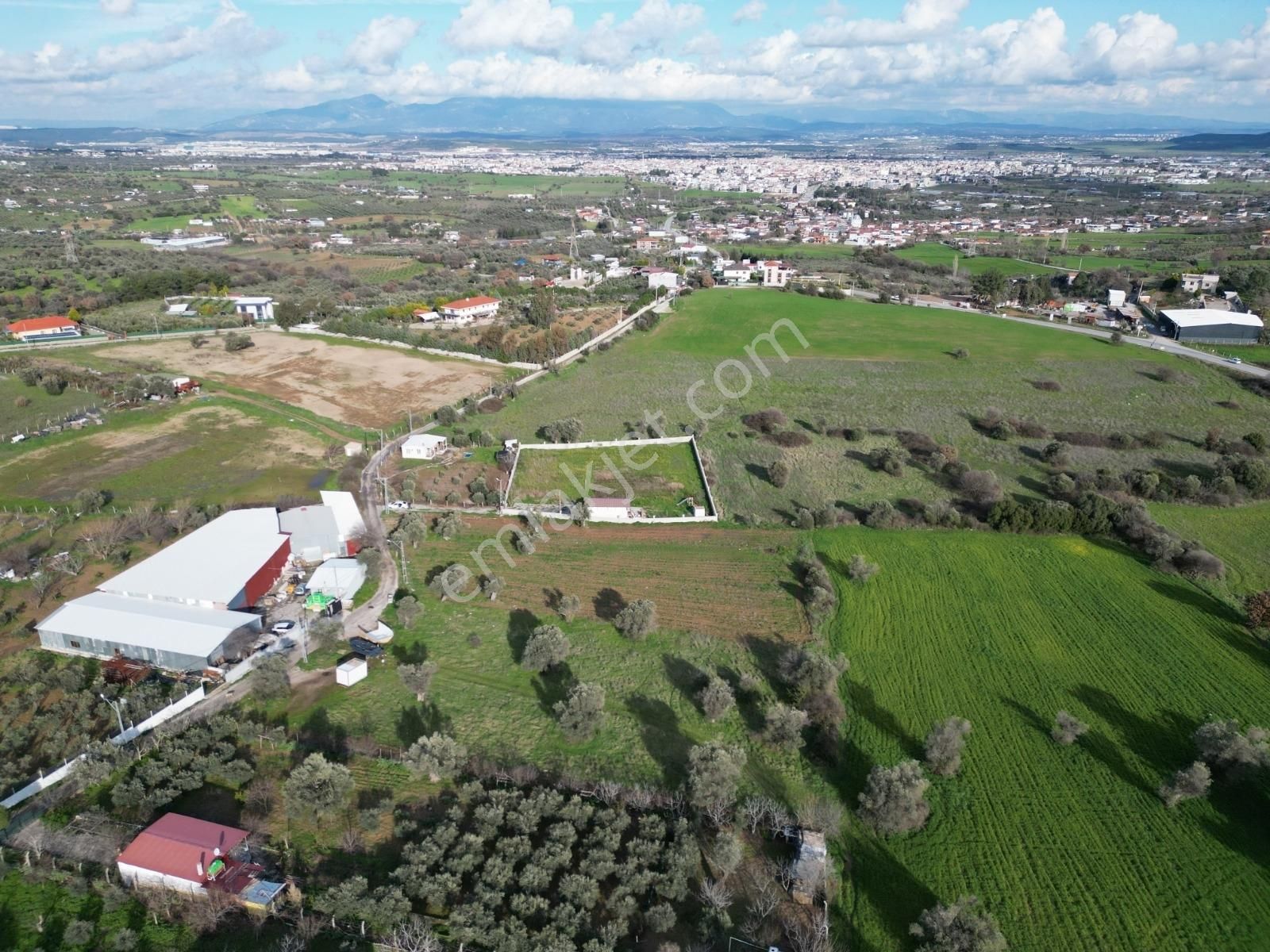 Qzen' Den Dereköy De 1750 M2 Kök Hisse Tapulu Satılık Zeytinlik - Görsel 10