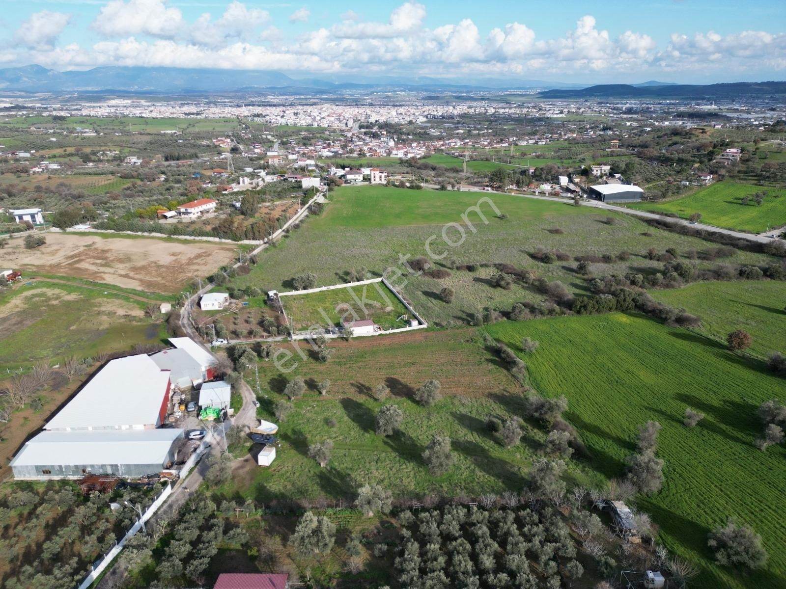Qzen' Den Dereköy De 1750 M2 Kök Hisse Tapulu Satılık Zeytinlik - Görsel 7