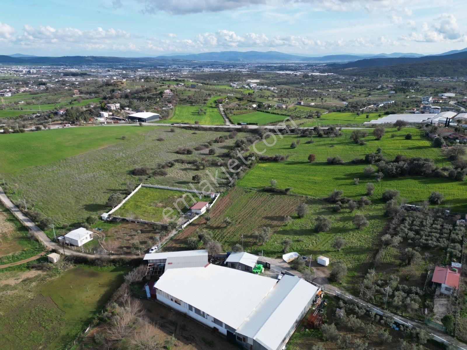 Qzen' Den Dereköy De 1750 M2 Kök Hisse Tapulu Satılık Zeytinlik - Görsel 5