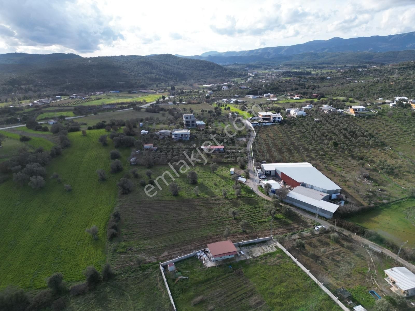 Qzen' Den Dereköy De 1750 M2 Kök Hisse Tapulu Satılık Zeytinlik - Görsel 6