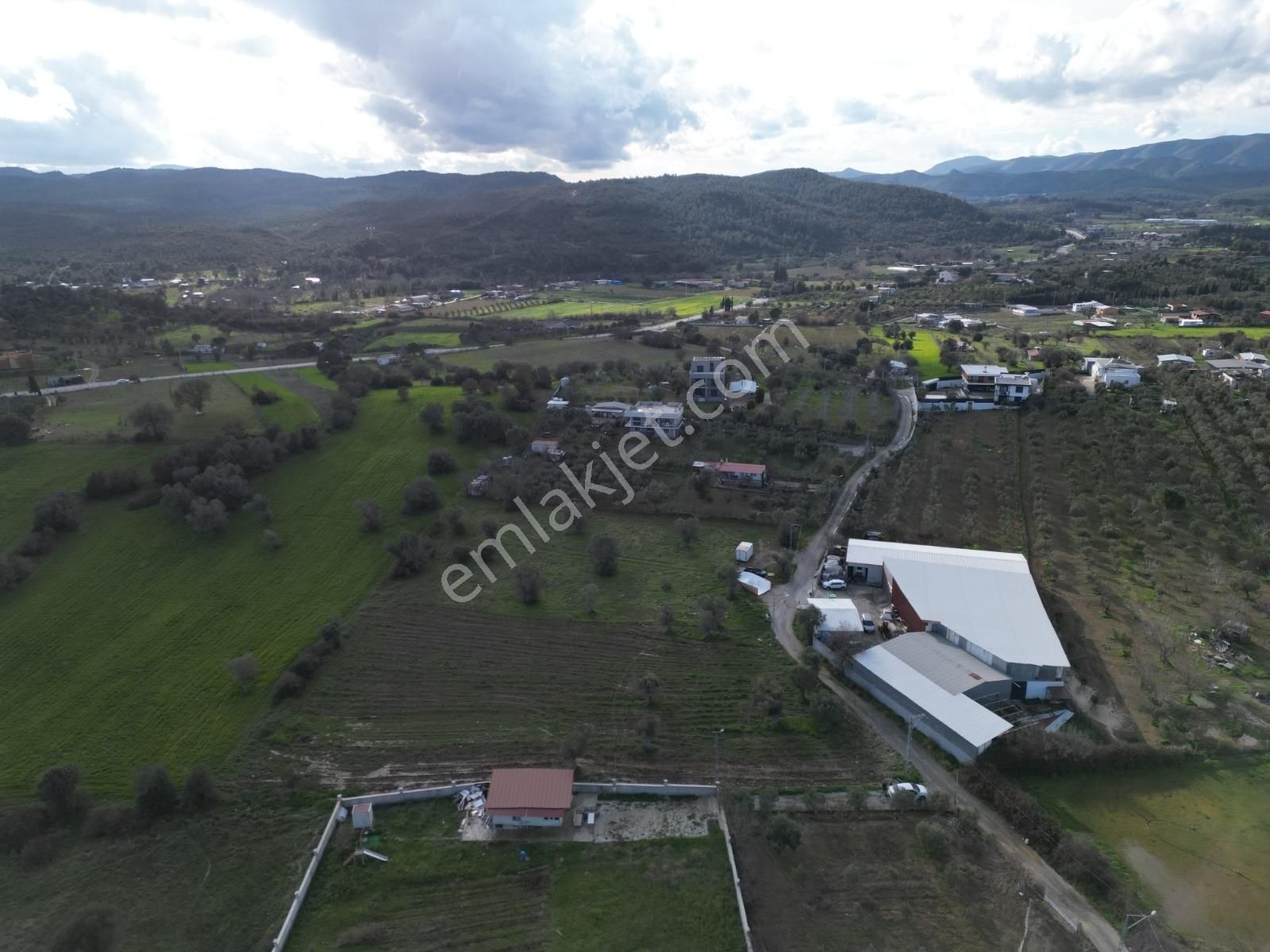 Qzen' Den Dereköy De 1750 M2 Kök Hisse Tapulu Satılık Zeytinlik - Görsel 12