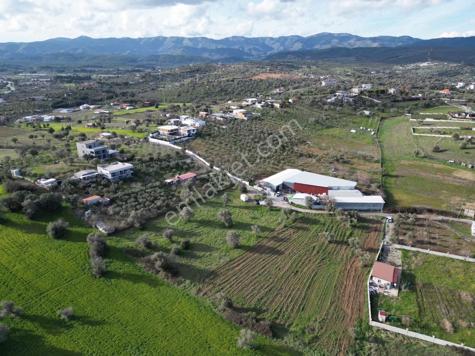 Qzen' Den Dereköy De 1750 M2 Kök Hisse Tapulu Satılık Zeytinlik - Görsel 11