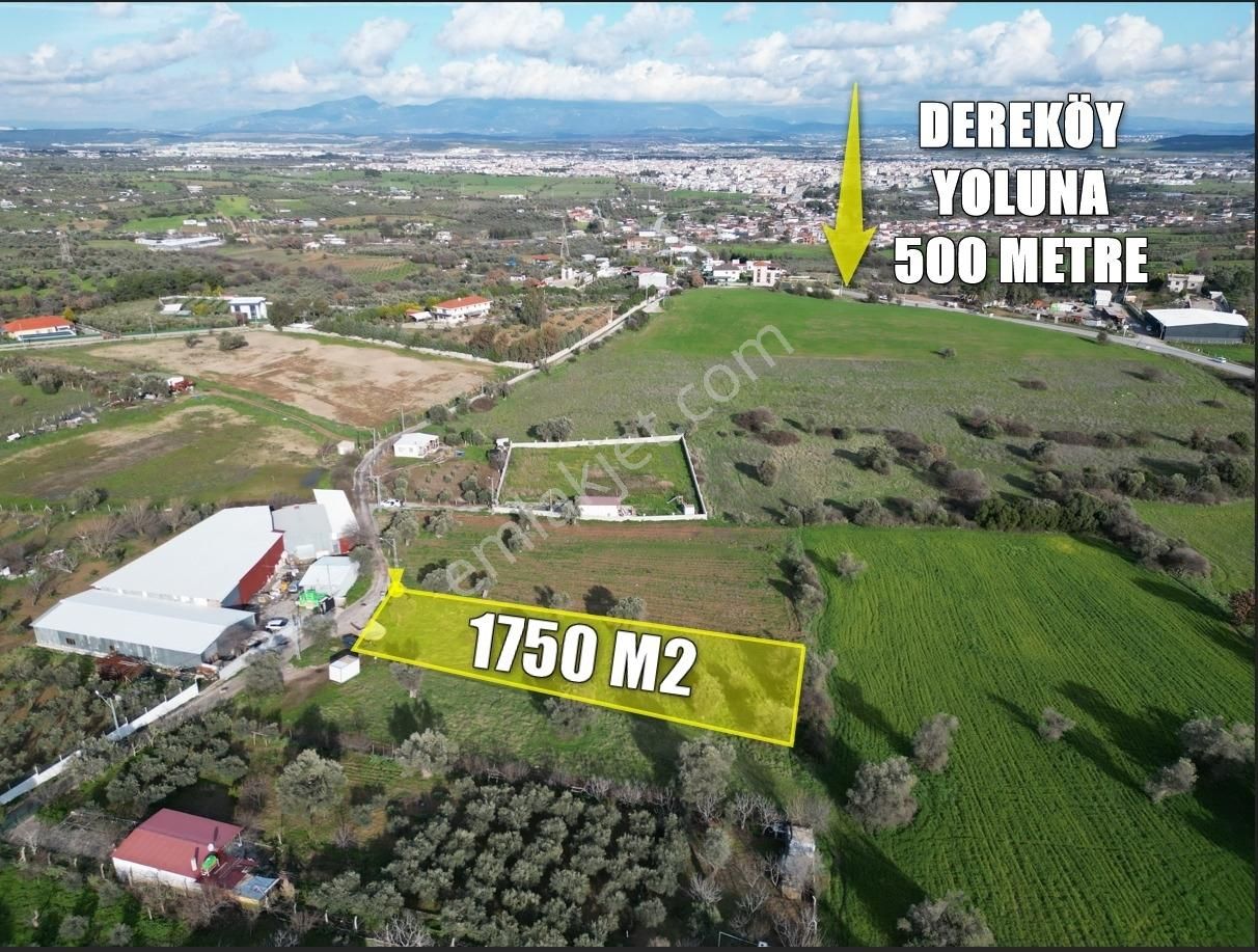 Qzen' Den Dereköy De 1750 M2 Kök Hisse Tapulu Satılık Zeytinlik