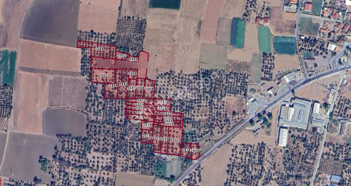 Göçbeyliye 750 Metre Mesafede 1056 M2 Zeytinlik - Görsel 2