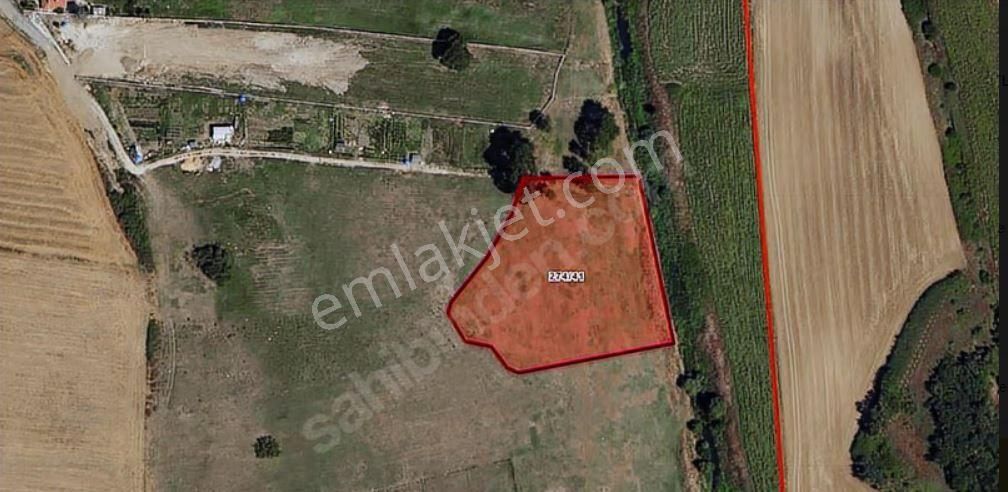 Çatalca Kestanelik De 5733m Tek Tapu Kısmi Takaslı Satılık Tarla - Görsel 4