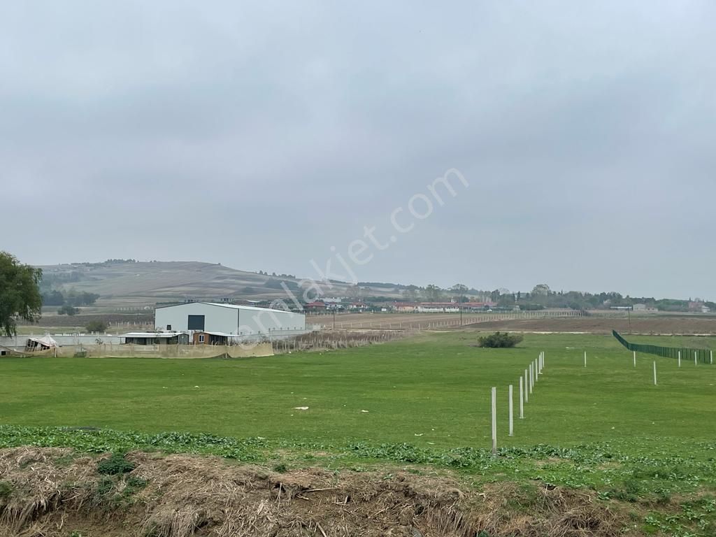 Çatalca Kestanelik De 5733m Tek Tapu Kısmi Takaslı Satılık Tarla - Görsel 3