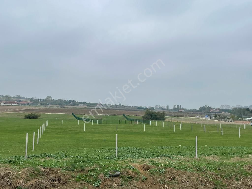 Çatalca Kestanelik De 5733m Tek Tapu Kısmi Takaslı Satılık Tarla