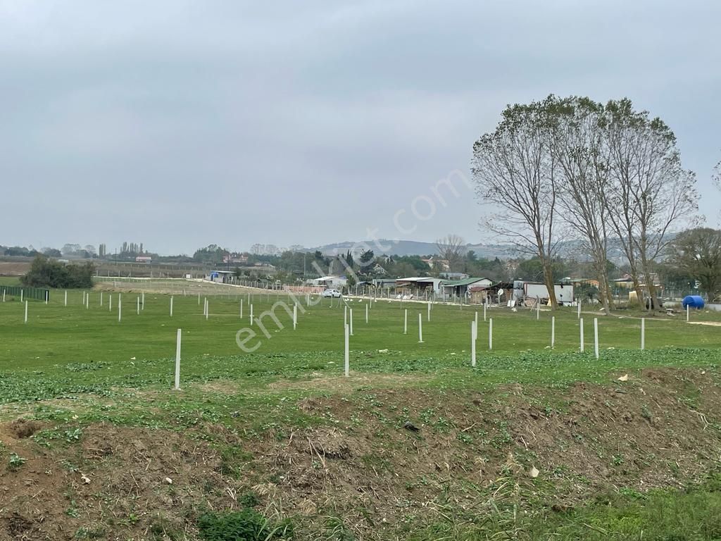 Çatalca Kestanelik De 5733m Tek Tapu Kısmi Takaslı Satılık Tarla - Görsel 2