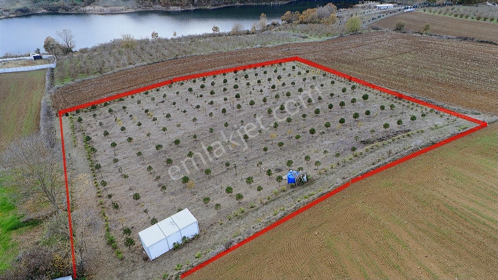 Eşsiz Meyve Bahçesi / Aşırlar Gölü Ve Korucuk Manzaralı - Görsel 11