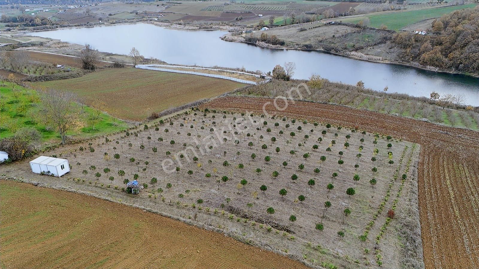 Eşsiz Meyve Bahçesi / Aşırlar Gölü Ve Korucuk Manzaralı - Görsel 6