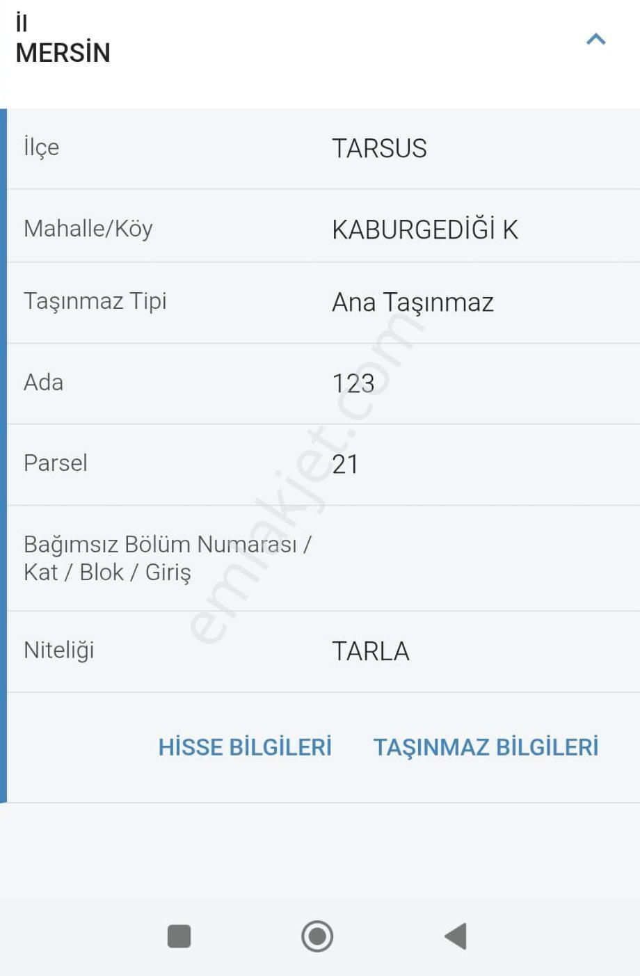 Yatırımlık Tek Tapu Yol Dibinde Orman Yanı - Görsel 2