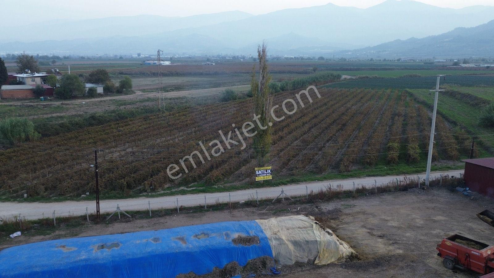 Satılık Sartta 11 Dönüm Yola Sıfır Elektrik Sulu Yatırımlık Bağ - Görsel 20