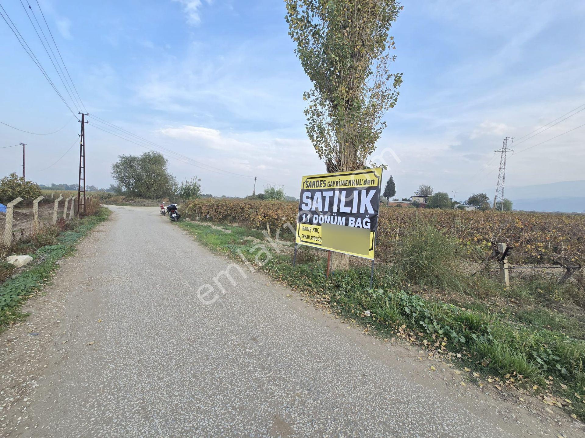 Satılık Sartta 11 Dönüm Yola Sıfır Elektrik Sulu Yatırımlık Bağ - Görsel 6