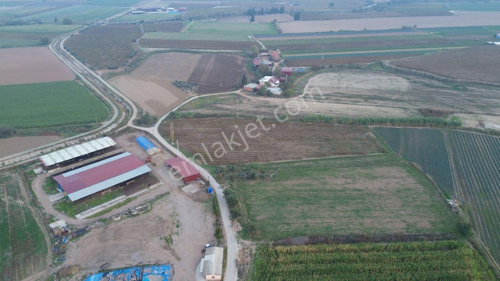 Satılık Sartta 11 Dönüm Yola Sıfır Elektrik Sulu Yatırımlık Bağ - Görsel 16