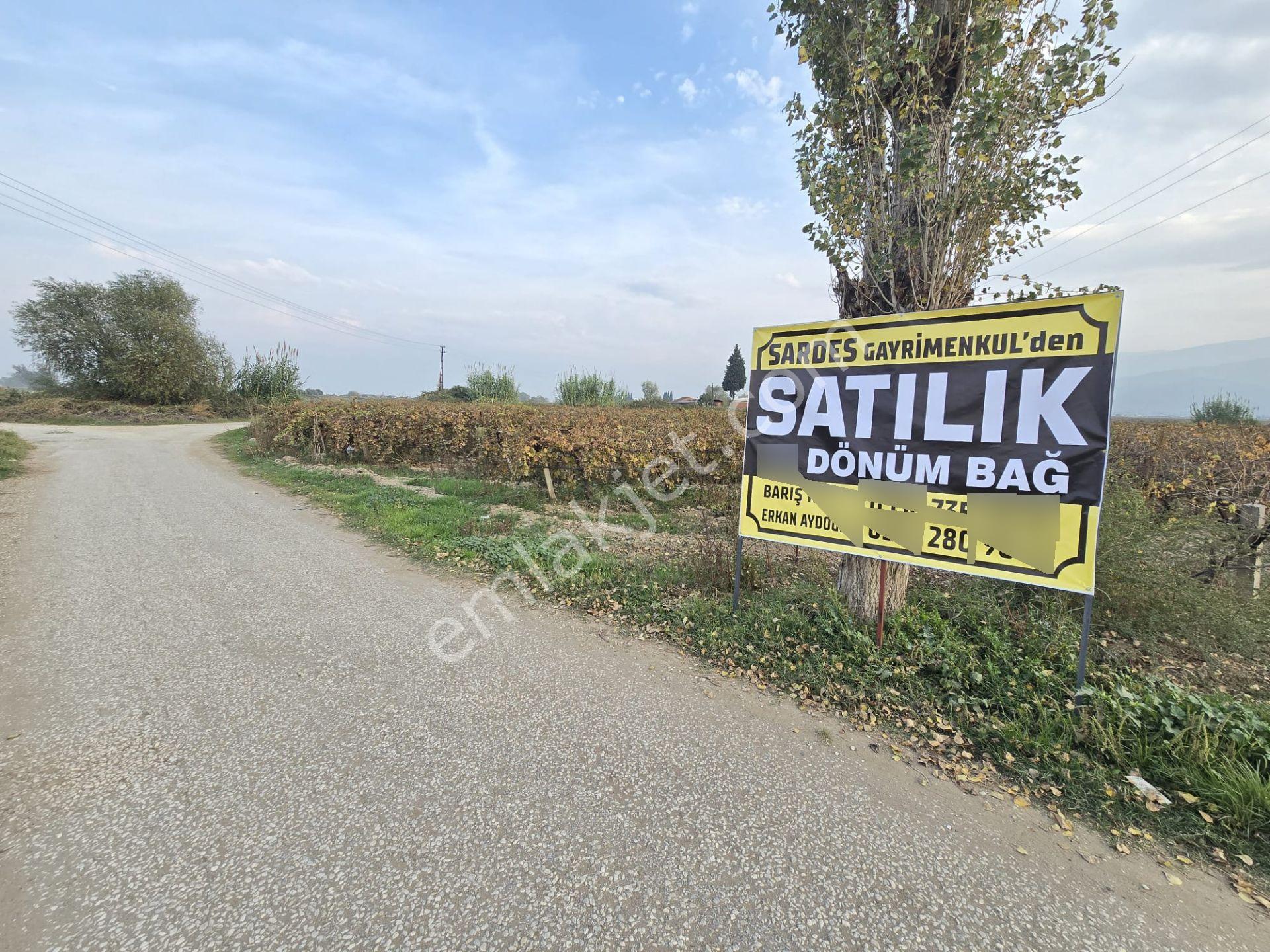 Satılık Sartta 11 Dönüm Yola Sıfır Elektrik Sulu Yatırımlık Bağ