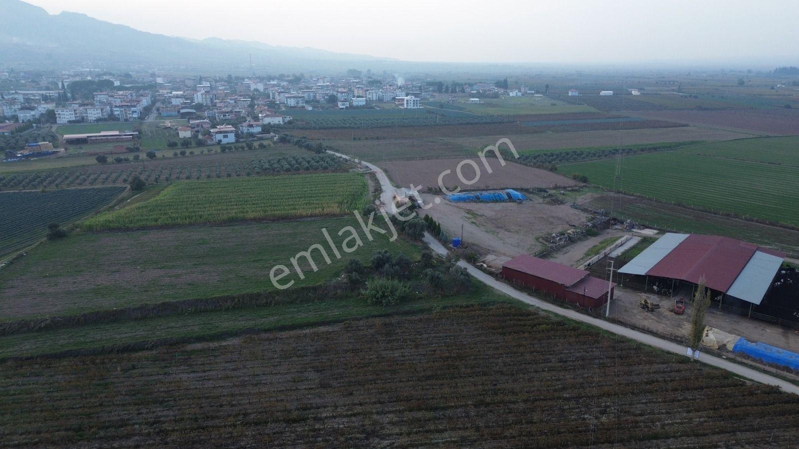 Satılık Sartta 11 Dönüm Yola Sıfır Elektrik Sulu Yatırımlık Bağ - Görsel 14