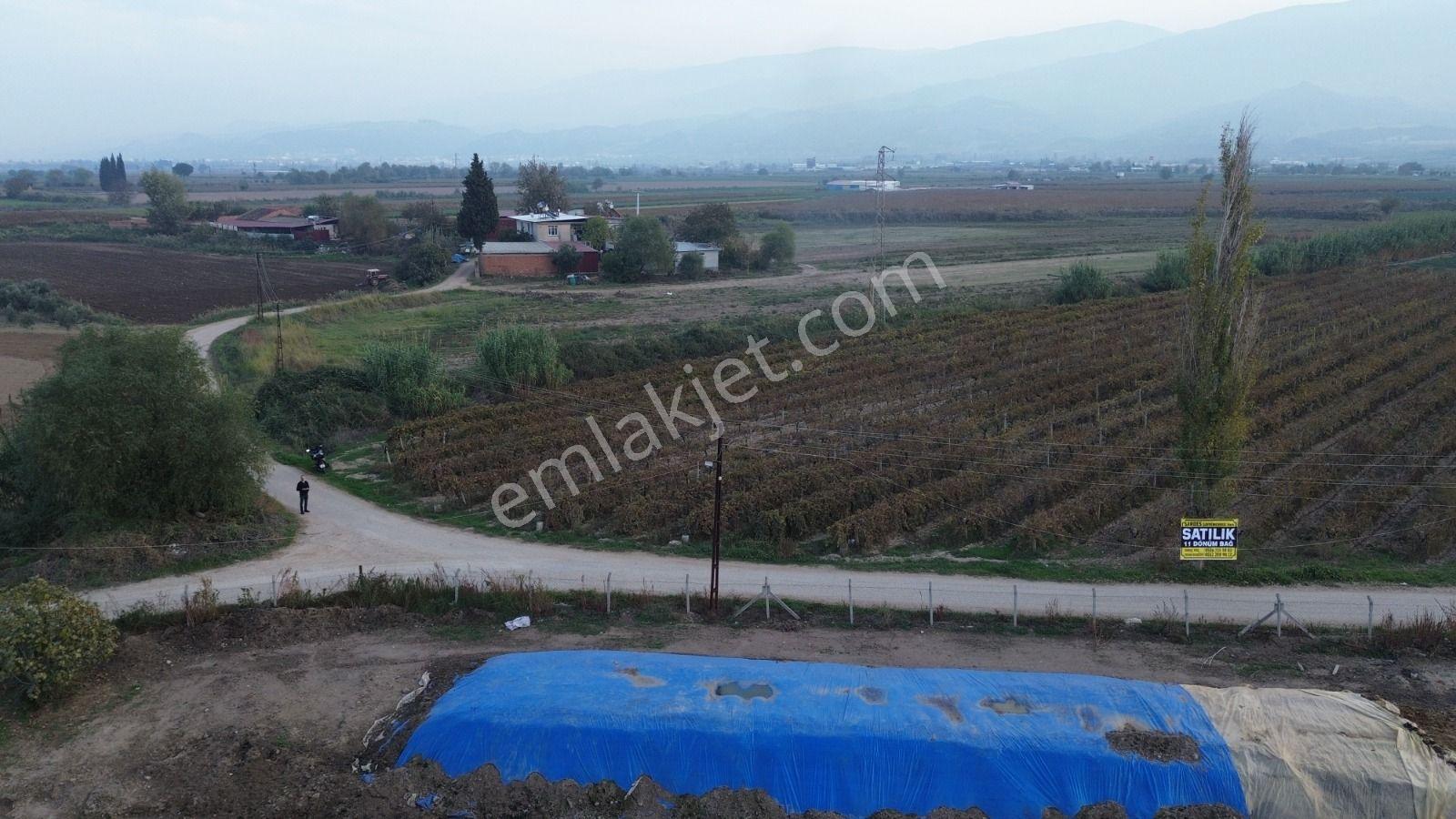 Satılık Sartta 11 Dönüm Yola Sıfır Elektrik Sulu Yatırımlık Bağ - Görsel 21