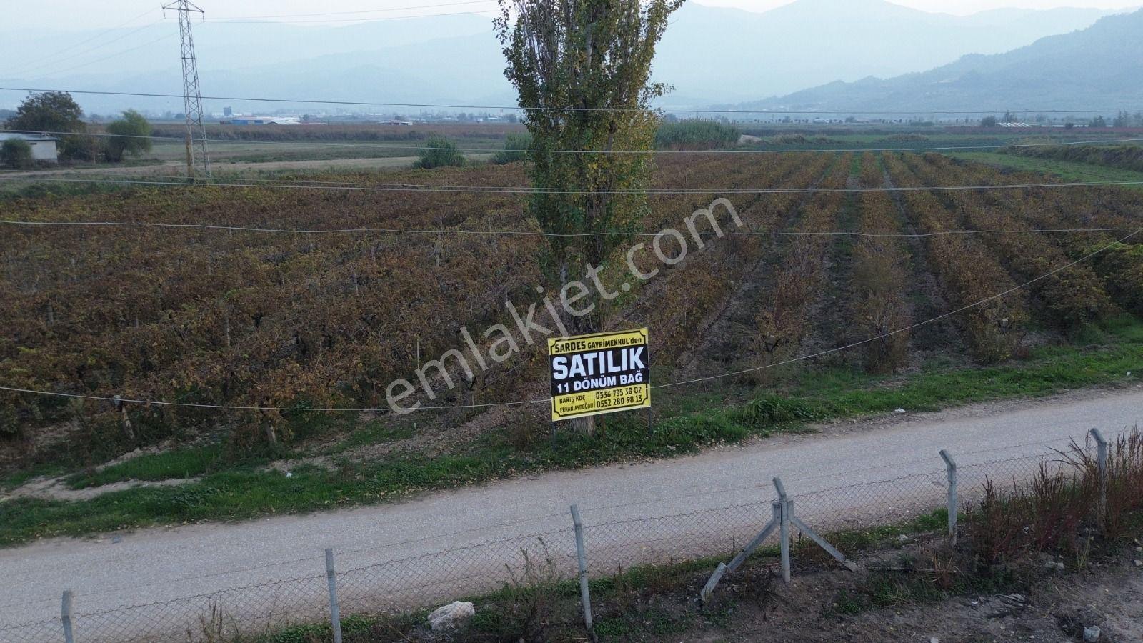 Satılık Sartta 11 Dönüm Yola Sıfır Elektrik Sulu Yatırımlık Bağ - Görsel 26