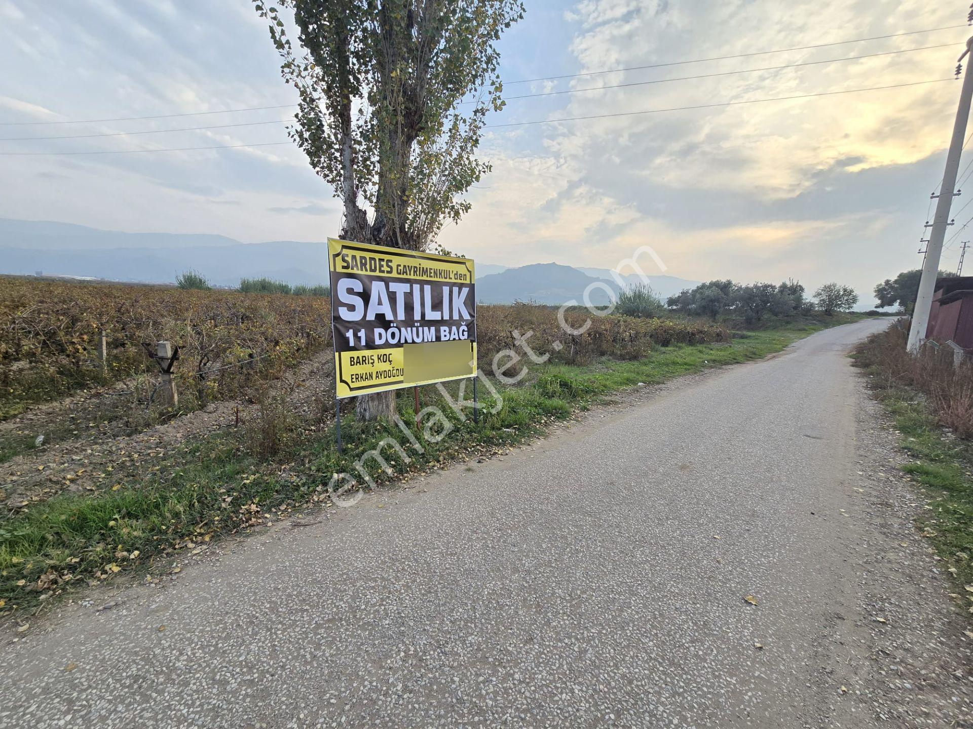 Satılık Sartta 11 Dönüm Yola Sıfır Elektrik Sulu Yatırımlık Bağ - Görsel 4