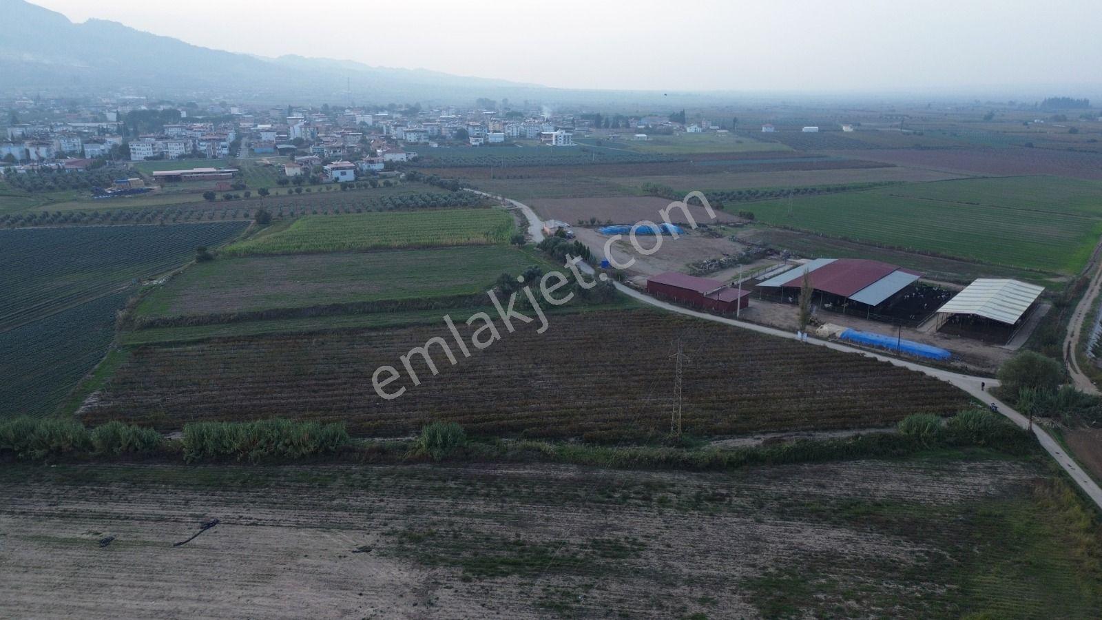 Satılık Sartta 11 Dönüm Yola Sıfır Elektrik Sulu Yatırımlık Bağ - Görsel 12