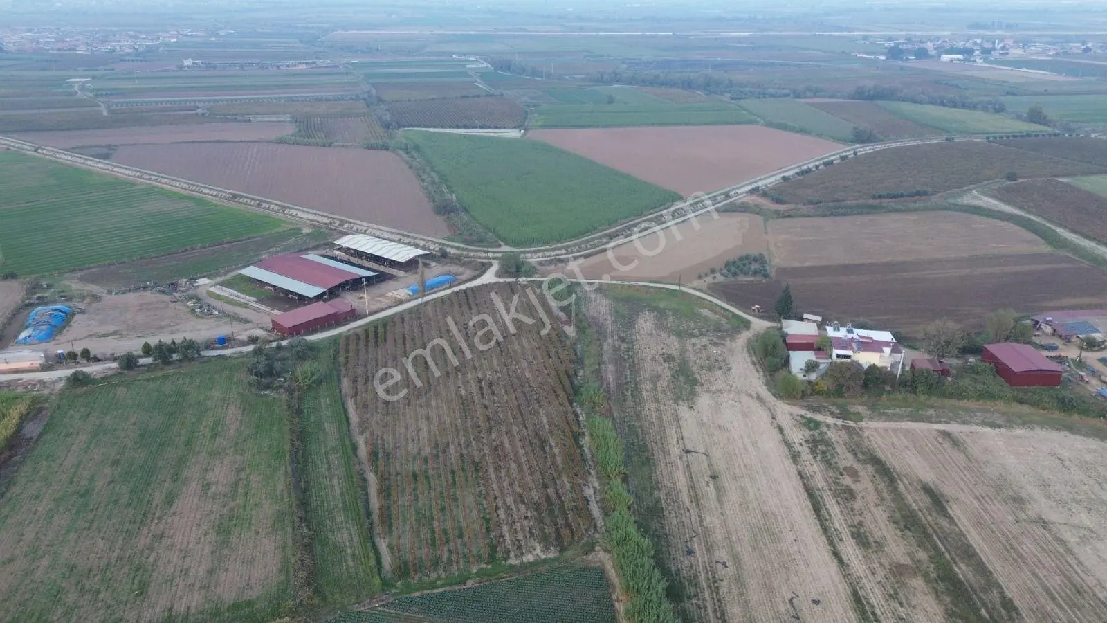 Satılık Sartta 11 Dönüm Yola Sıfır Elektrik Sulu Yatırımlık Bağ - Görsel 3