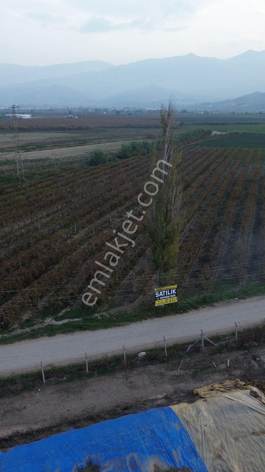 Satılık Sartta 11 Dönüm Yola Sıfır Elektrik Sulu Yatırımlık Bağ - Görsel 24