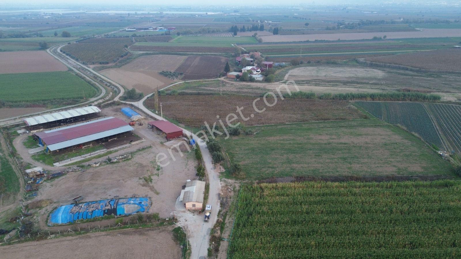 Satılık Sartta 11 Dönüm Yola Sıfır Elektrik Sulu Yatırımlık Bağ - Görsel 18