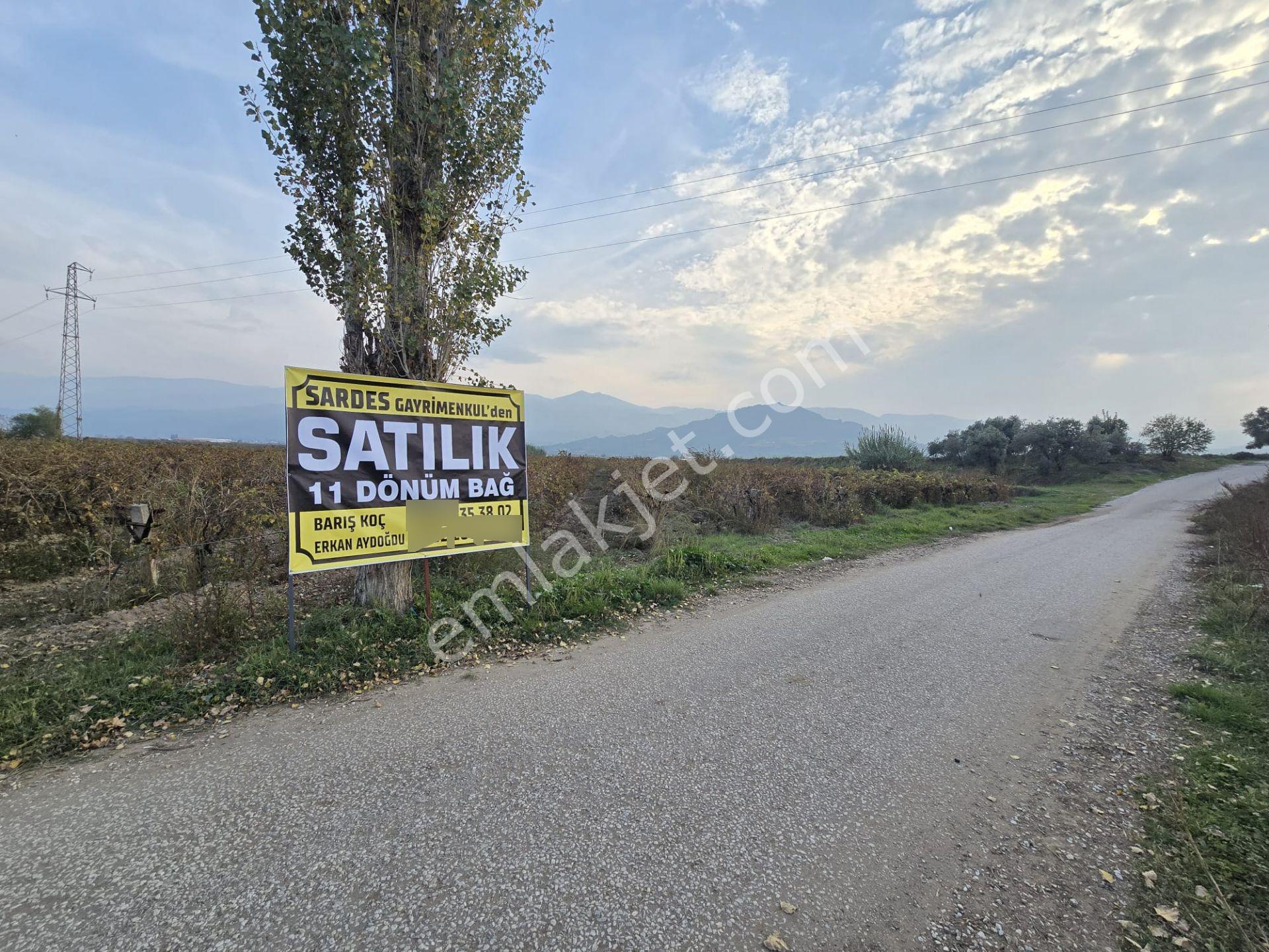 Satılık Sartta 11 Dönüm Yola Sıfır Elektrik Sulu Yatırımlık Bağ - Görsel 7