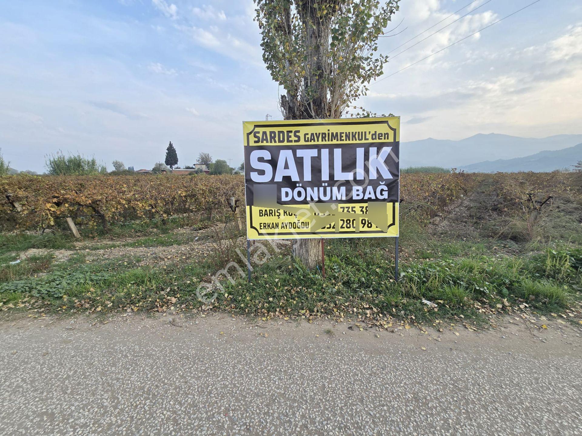 Satılık Sartta 11 Dönüm Yola Sıfır Elektrik Sulu Yatırımlık Bağ - Görsel 2