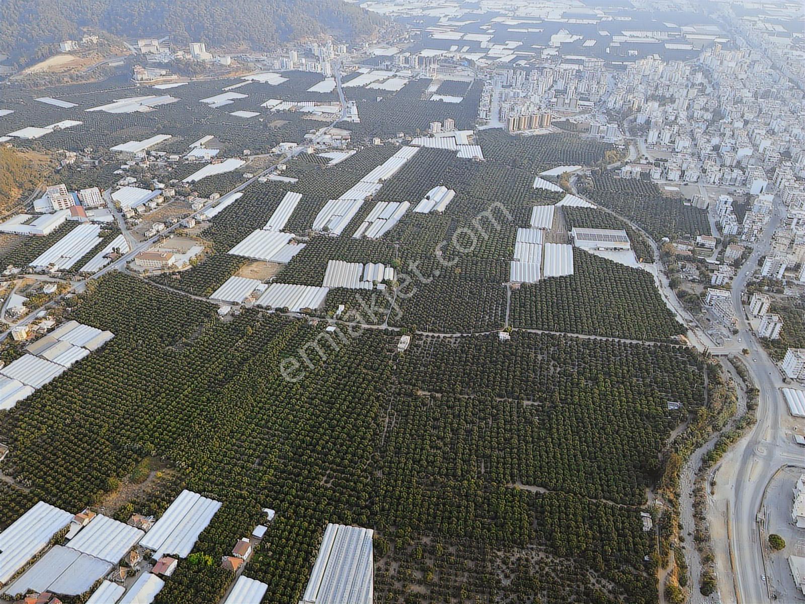 Bmk'dan Kumluca Kasapçayırında 622m2 Satılık Arsa - Görsel 2