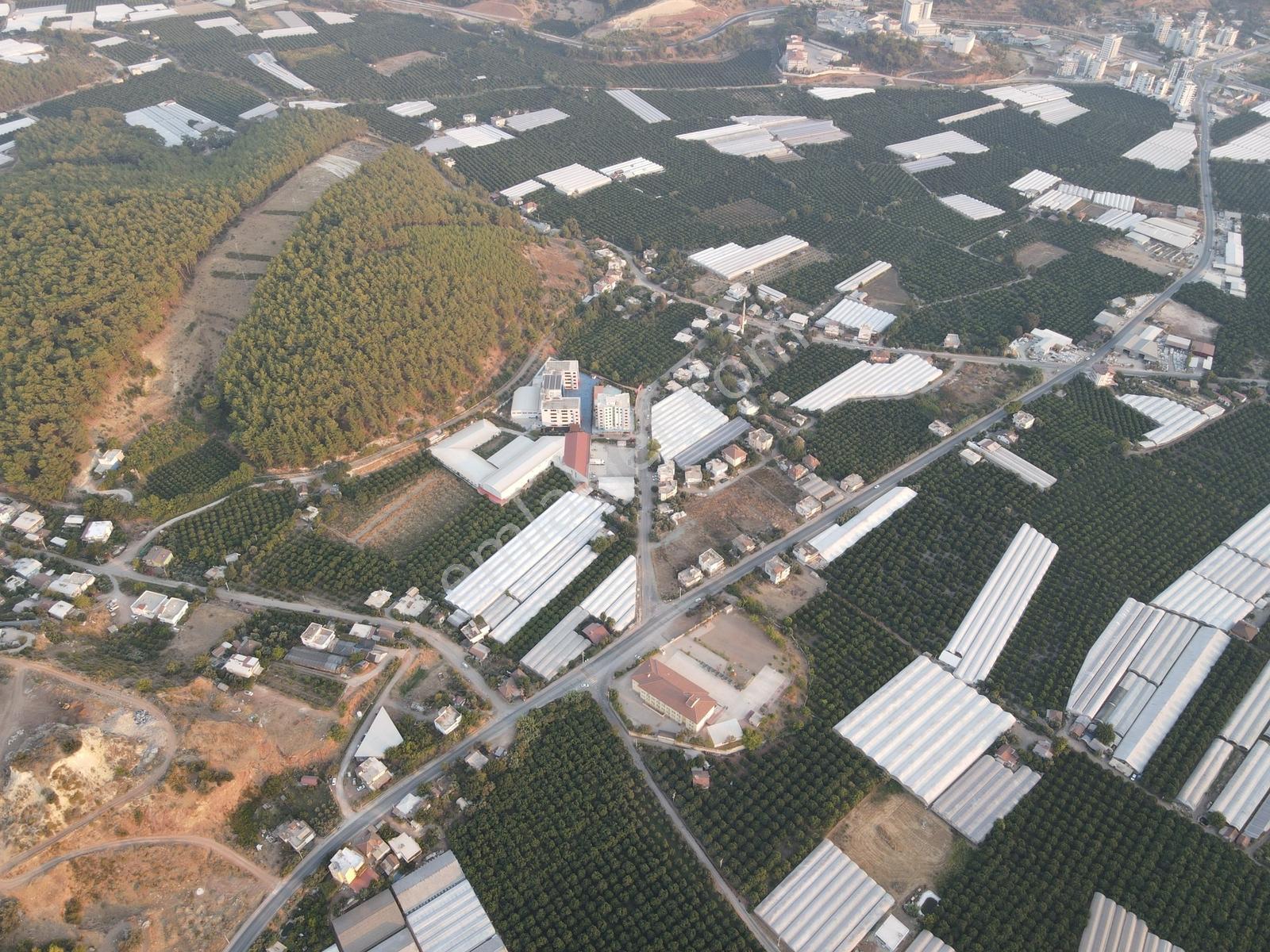 Bmk'dan Kumluca Kasapçayırında 622m2 Satılık Arsa - Görsel 29