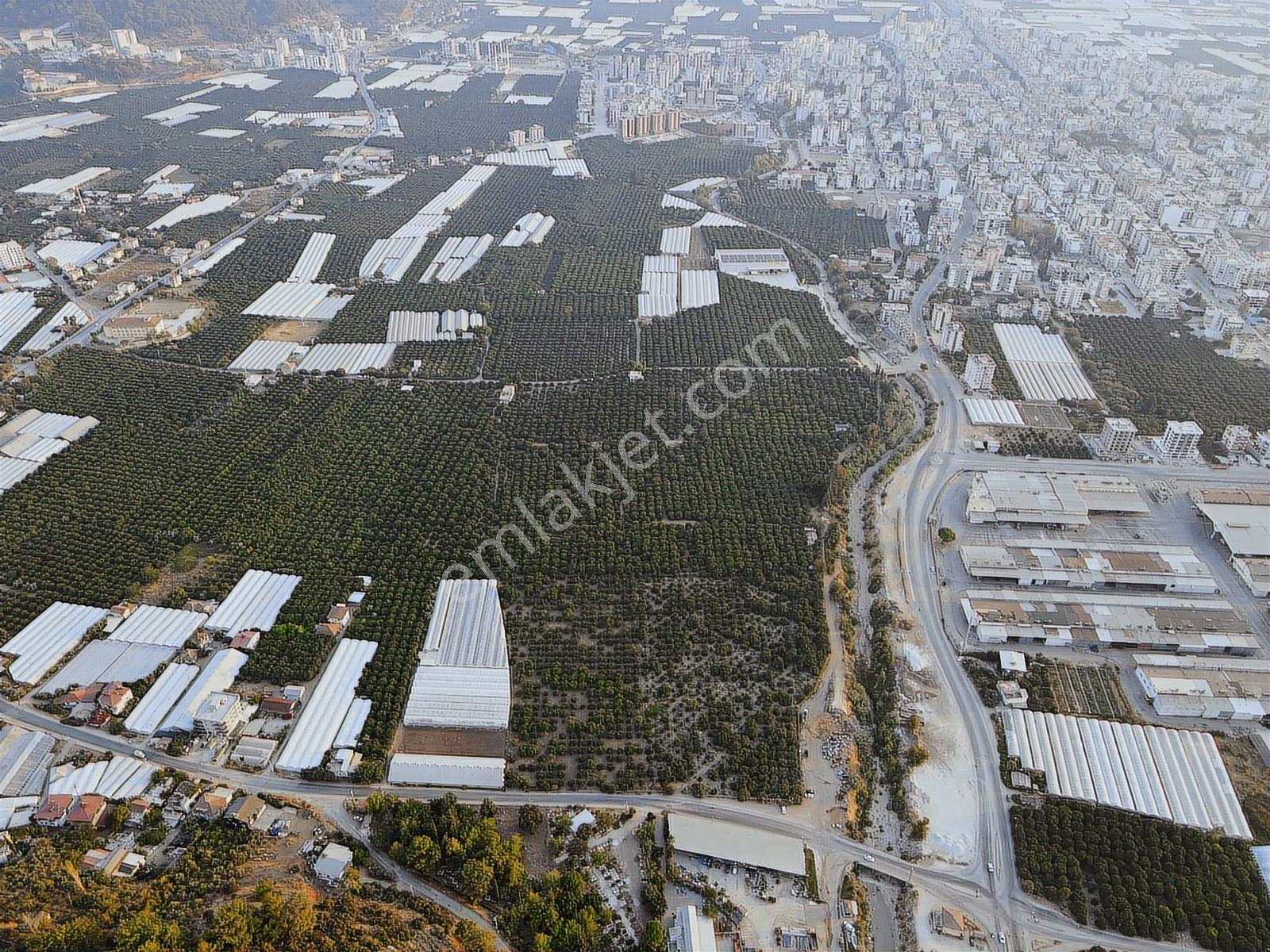 Bmk'dan Kumluca Kasapçayırında 622m2 Satılık Arsa - Görsel 15