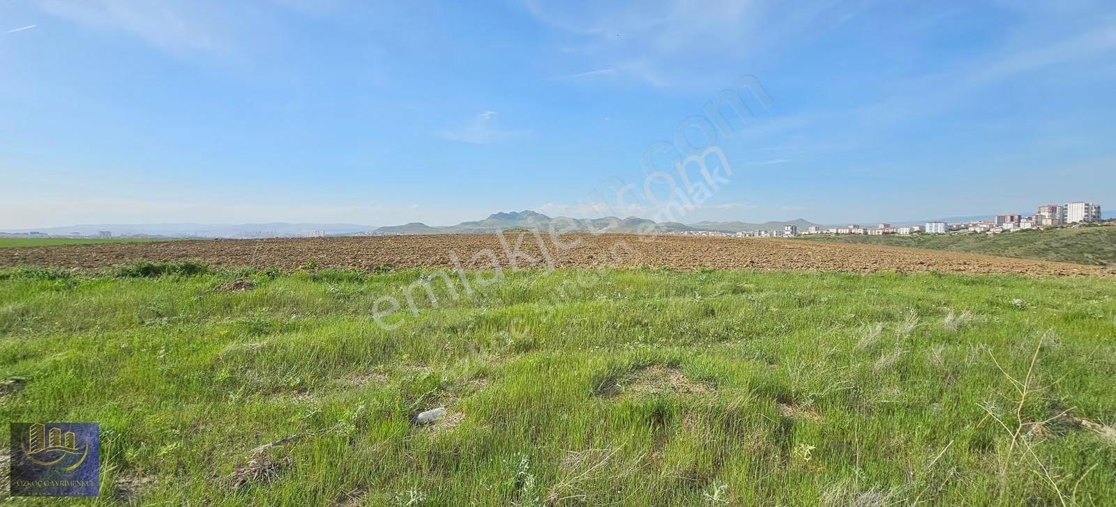 Şehit Ali' De İmar Sınırında Kadastro Yoluna Cephe 2981 M² Arazi - Görsel 27
