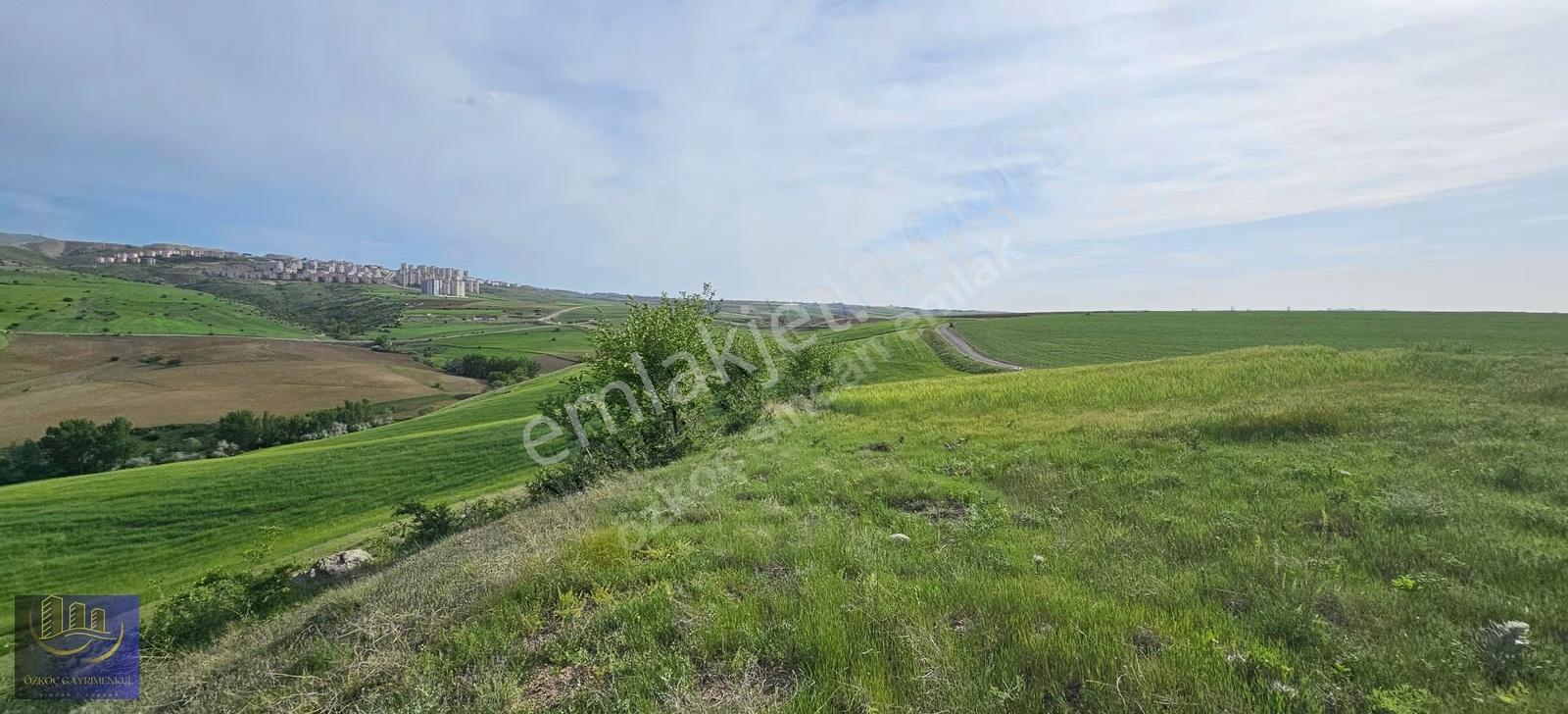 Şehit Ali' De İmar Sınırında Kadastro Yoluna Cephe 2981 M² Arazi - Görsel 20