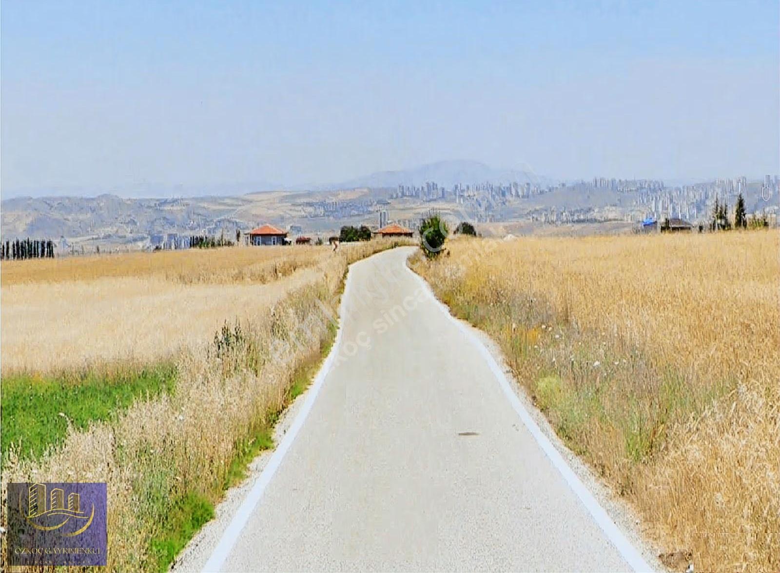Şehit Ali' De İmar Sınırında Kadastro Yoluna Cephe 2981 M² Arazi - Görsel 12