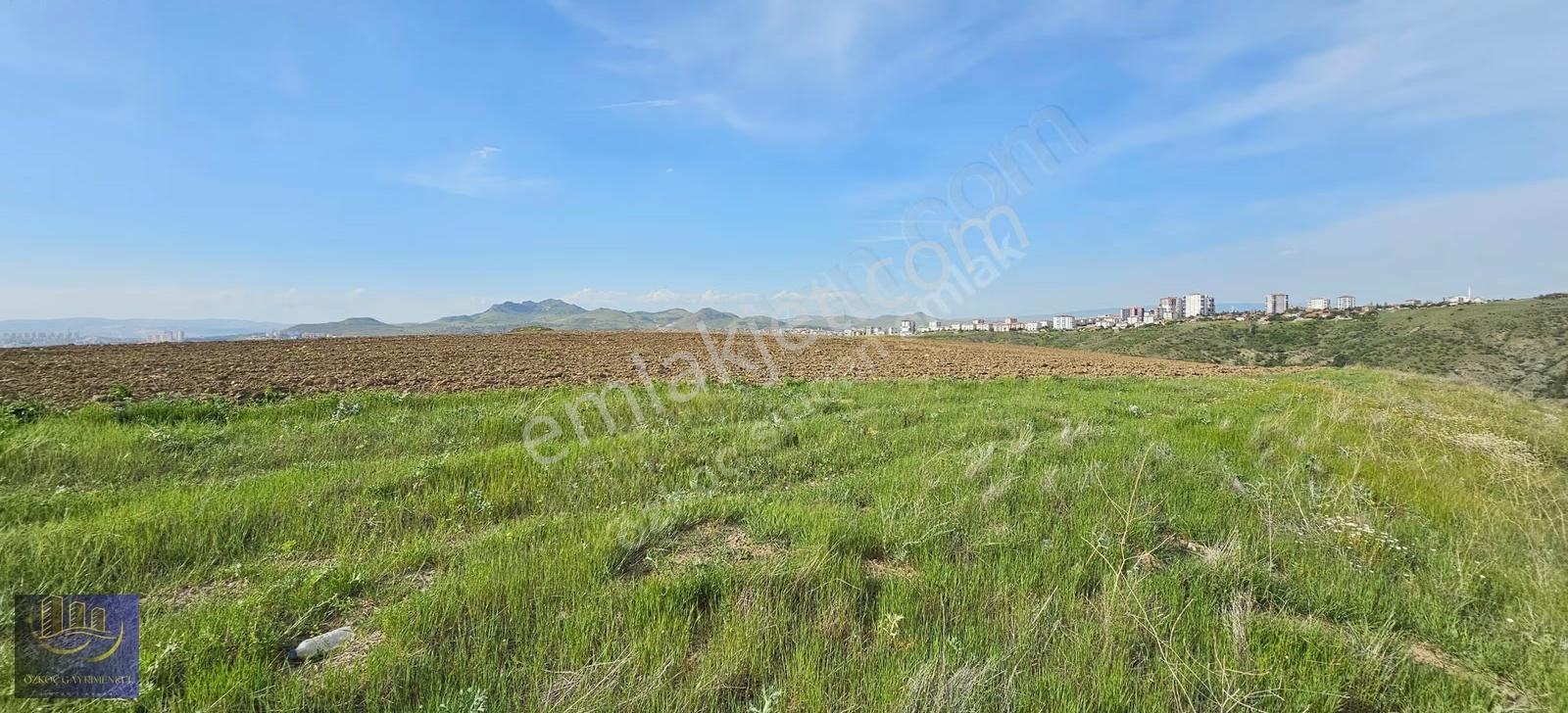 Şehit Ali' De İmar Sınırında Kadastro Yoluna Cephe 2981 M² Arazi - Görsel 15