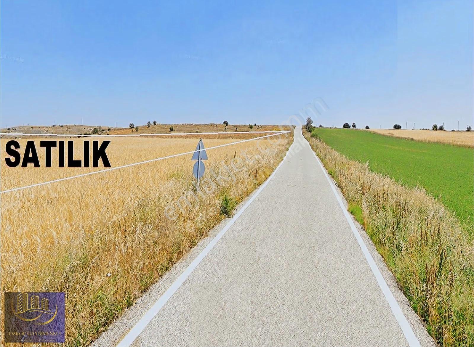 Şehit Ali' De İmar Sınırında Kadastro Yoluna Cephe 2981 M² Arazi - Görsel 8