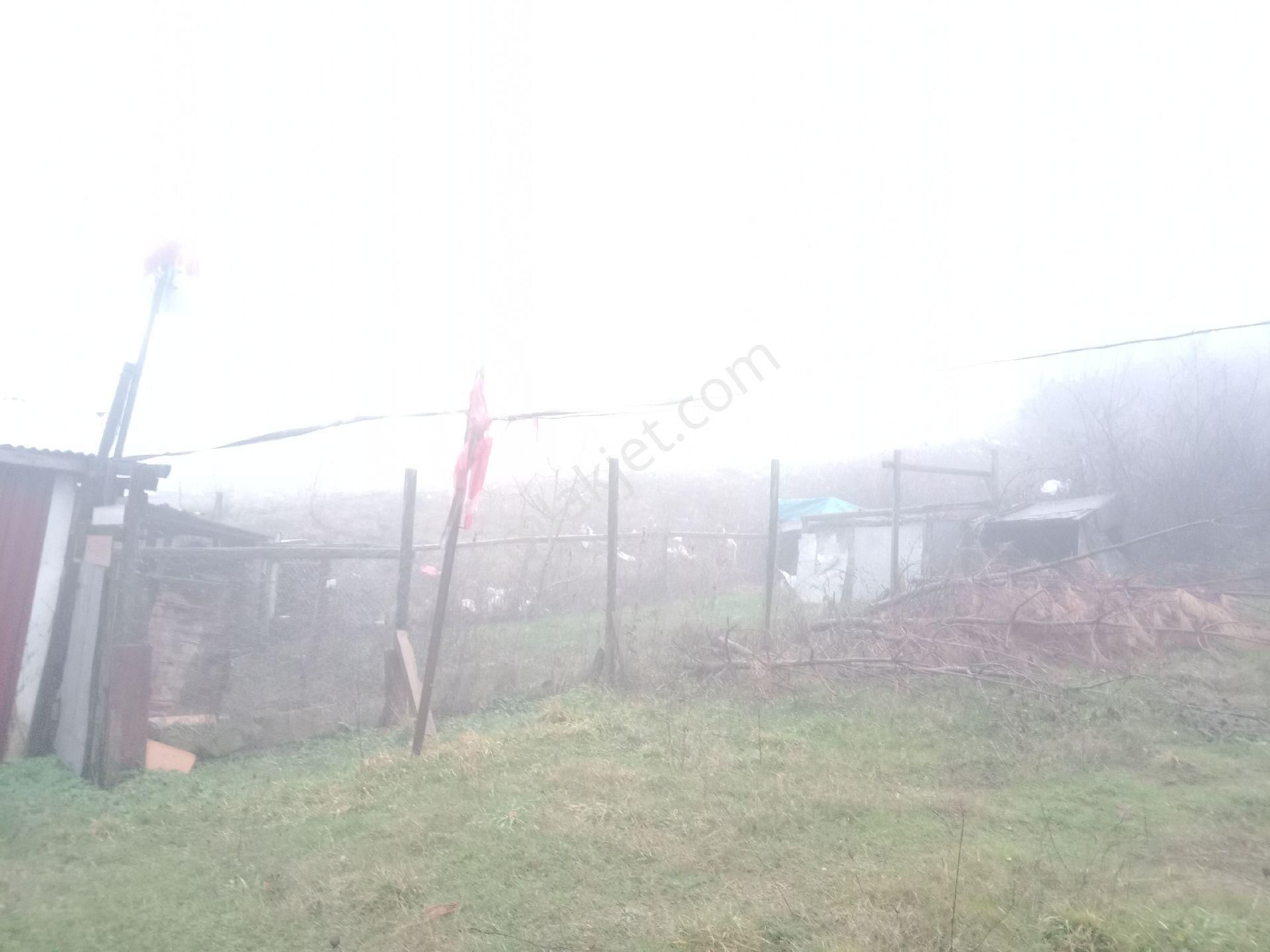 Bursa Kestel Orhaniye-ana Yola Sıfır, Sulu, Elektrikli, 60 Meyve Ağacı+ev+veranda - Görsel 13