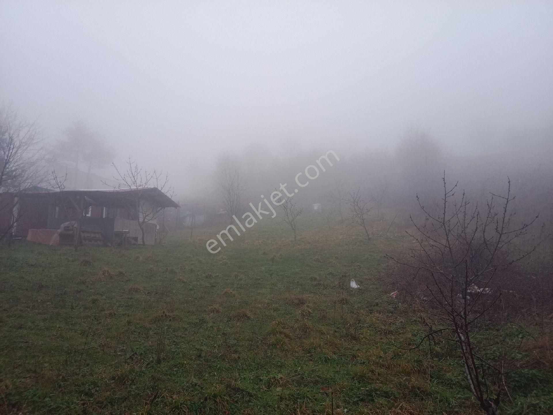 Bursa Kestel Orhaniye-ana Yola Sıfır, Sulu, Elektrikli, 60 Meyve Ağacı+ev+veranda - Görsel 19