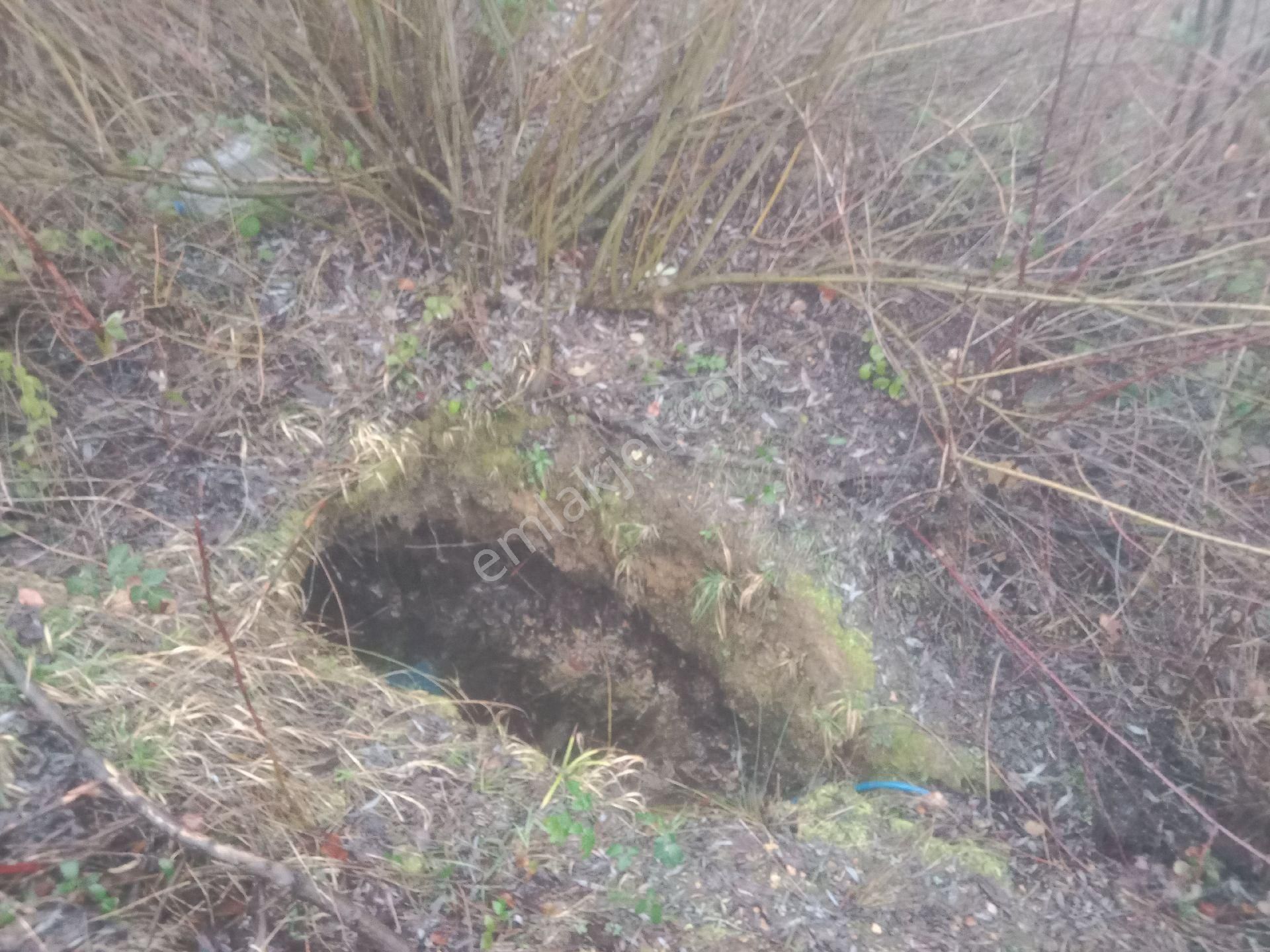 Bursa Kestel Orhaniye-ana Yola Sıfır, Sulu, Elektrikli, 60 Meyve Ağacı+ev+veranda - Görsel 12