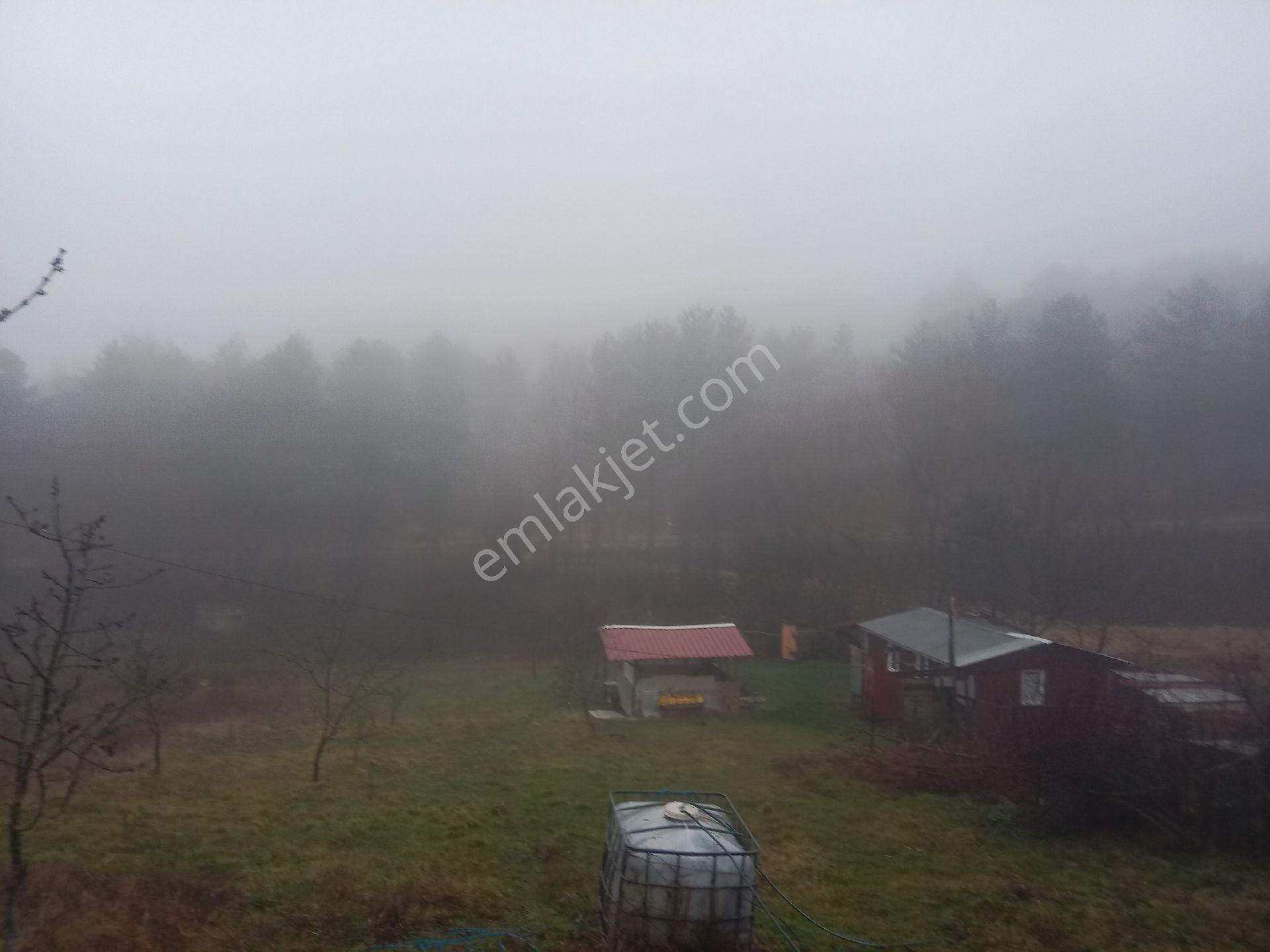 Bursa Kestel Orhaniye-ana Yola Sıfır, Sulu, Elektrikli, 60 Meyve Ağacı+ev+veranda - Görsel 11