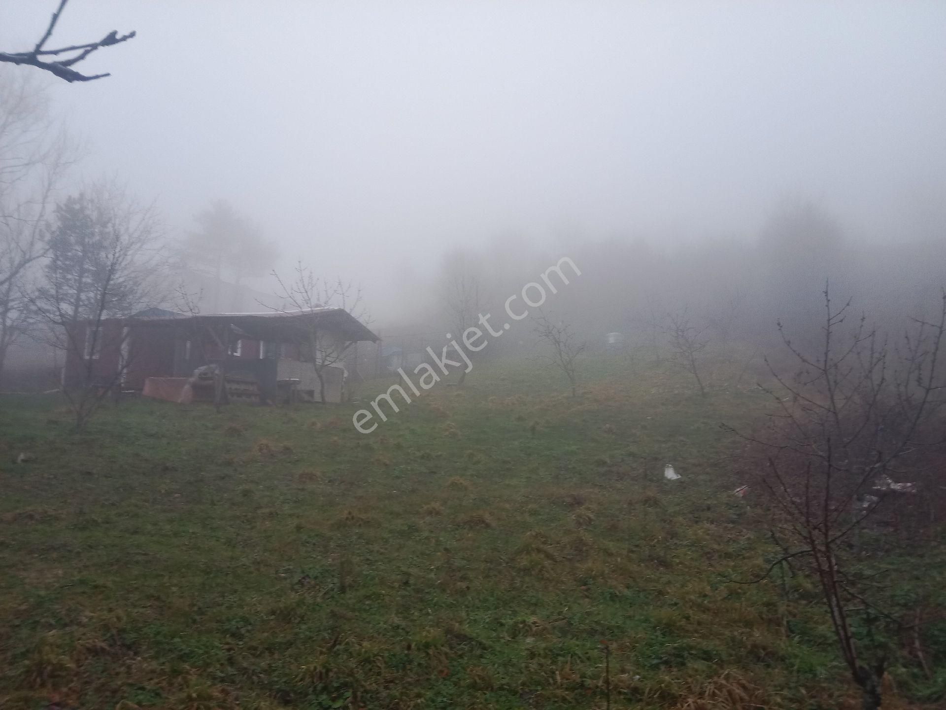 Bursa Kestel Orhaniye-ana Yola Sıfır, Sulu, Elektrikli, 60 Meyve Ağacı+ev+veranda - Görsel 21