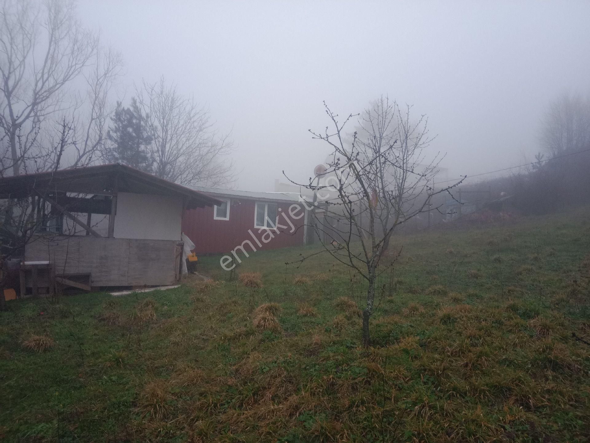 Bursa Kestel Orhaniye-ana Yola Sıfır, Sulu, Elektrikli, 60 Meyve Ağacı+ev+veranda - Görsel 16